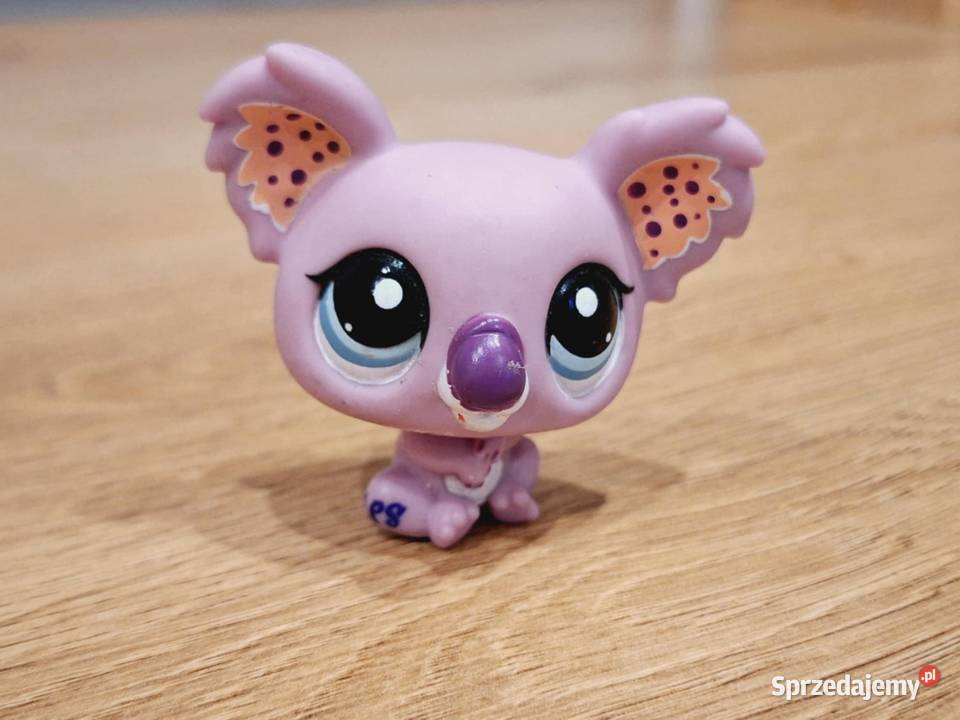 Koala kropki Littlest Pet Shop Braniewo