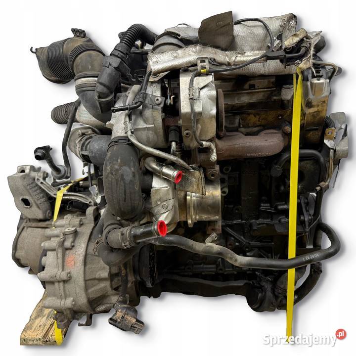 SILNIK CLH CLHA VW Golf VII Skoda Octavia III osobowe Silniki kompletne Chełm
