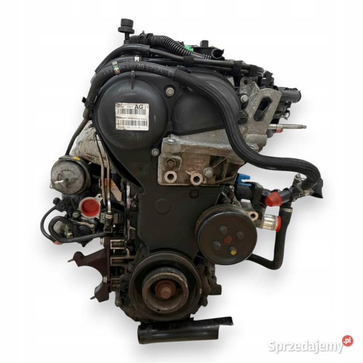 SILNIK JQDB Ford Focus III MK3 C 16 EcoBoost T Części samochodowe Chełm sprzedam