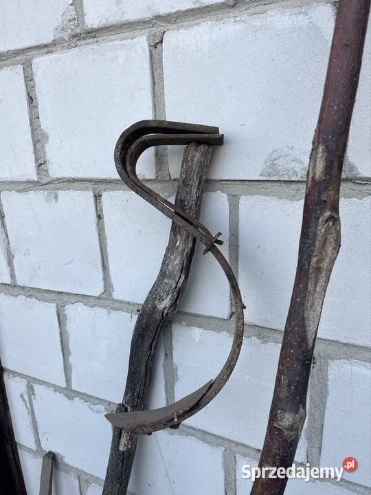 Ząb unia Grudziądz Potok Górny