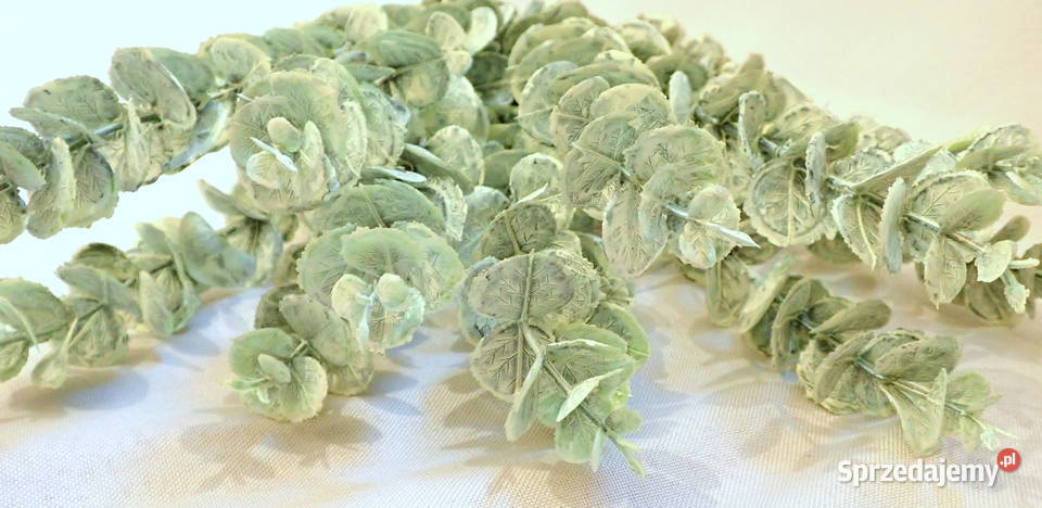 Dekoracja gałązka eukaliptusa ozdobna zielona 44