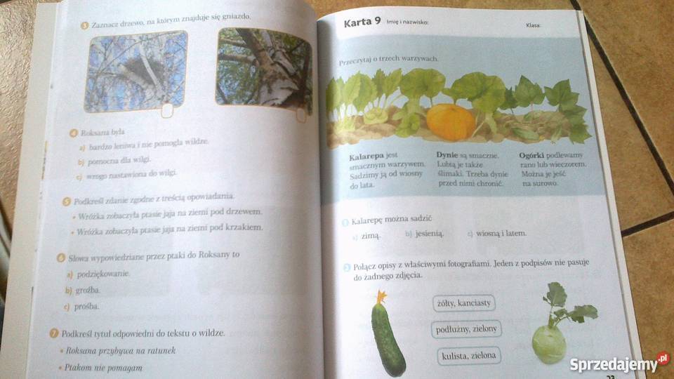 Czytam ze zrozumieniem kl 2 wsip Oborniki Śląskie - Sprzedajemy.pl