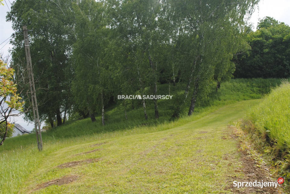 Działka 19900m2 Łazany