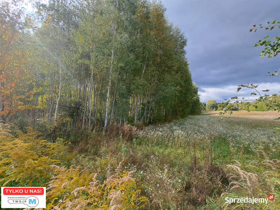 Grunt Łagów 8879m2 szambo