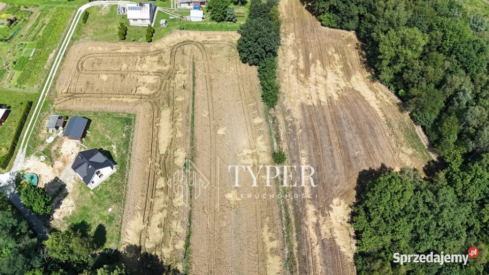 Działka budowlana 34 ary w Bistuszowej Bistuszowa sprzedam