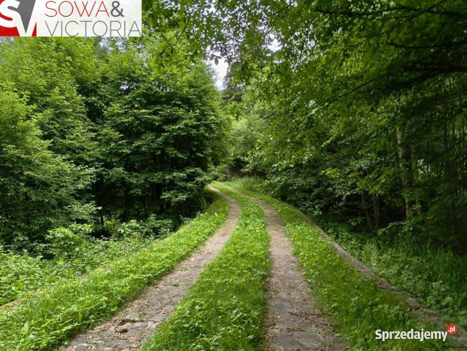 Dom bez sąsiedztwa działka 9300 m 2 Walim