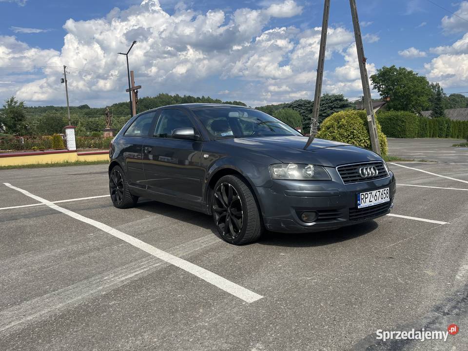Audi A3 8P Hucisko Jawornickie
