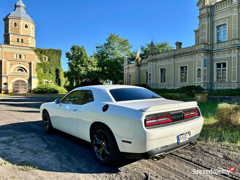 Dodge Challenger RT 2017r benzyna Challenger Rawicz