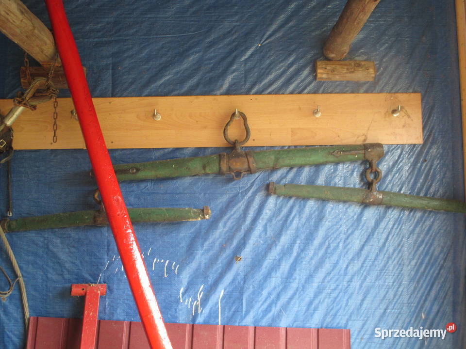 hodowla hucułów handzlówka sprzedam