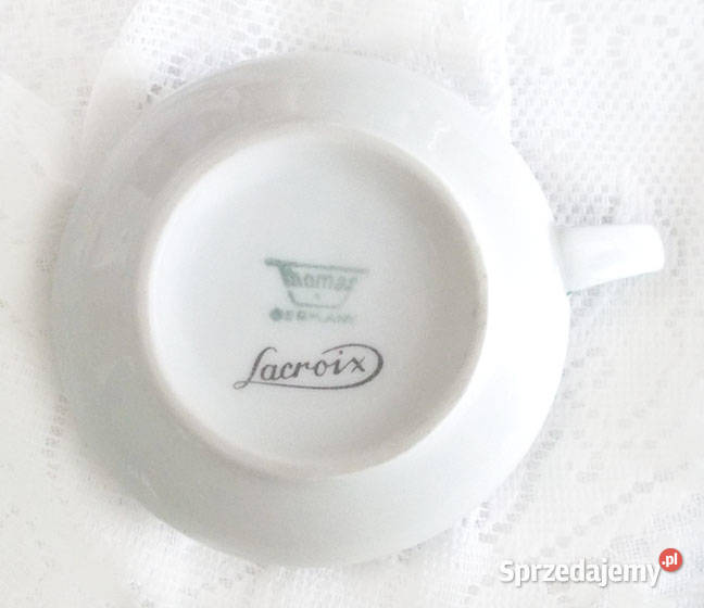 filiżanka z żółwiem żółw filiżanka zwierzęta sprzedam