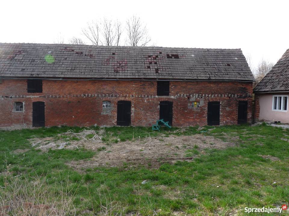 anio Gospodarstwo rolne Paprotki gm Malechowo Nieruchomości sprzedam