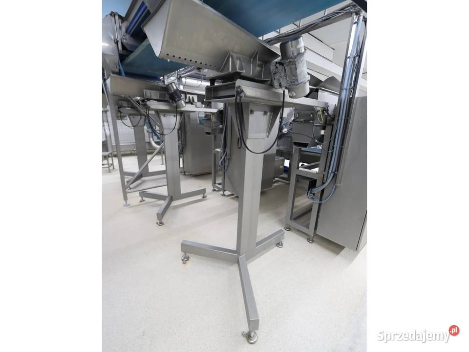 Select Agroselector 6T3M sortownik optyczny Krotoszyn