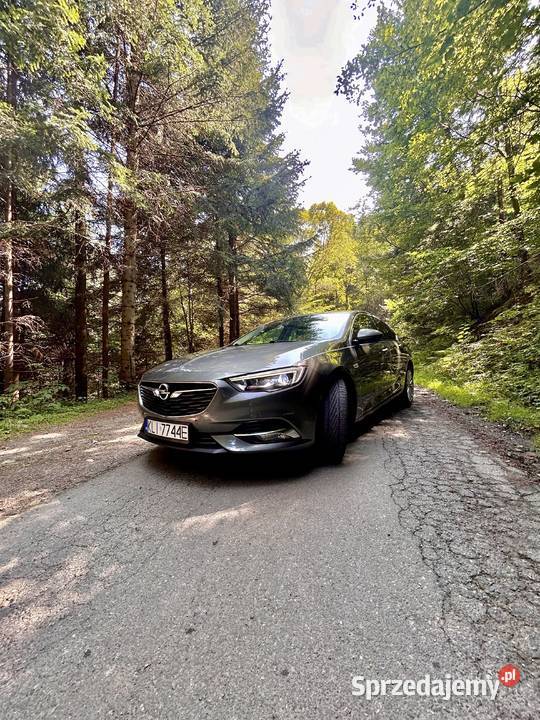 Opel INSIGNIA 20 CDTI małopolskie Mszana Dolna