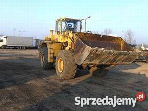 Fadroma stalowa wola nieuszkodzony podlaskie Łapy