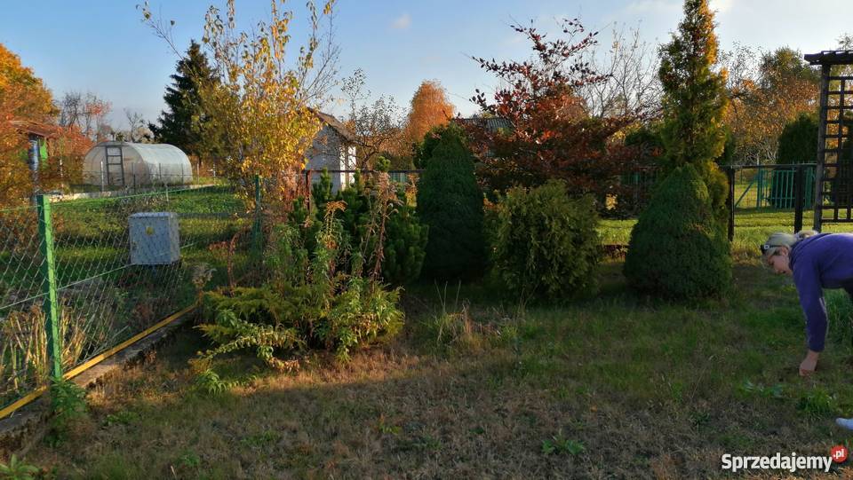 Działka rod warmińsko-mazurskie Szczytno