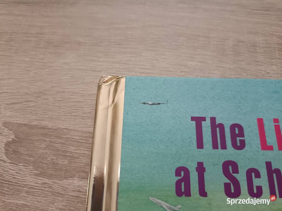 Książka The little robot at Schiphol sprzedam