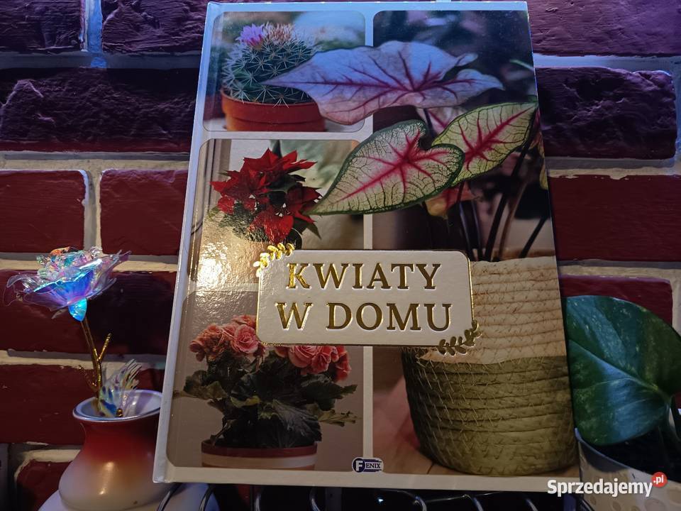 PoradnikAlbum Kwiaty w Domu Aranżacja i Kultura i Rozrywka kujawsko-pomorskie Bydgoszcz sprzedam