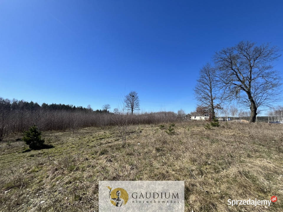 Działka pod budowę domu I 3104 m2 I gm Lubichowo Lipinki Królewskie