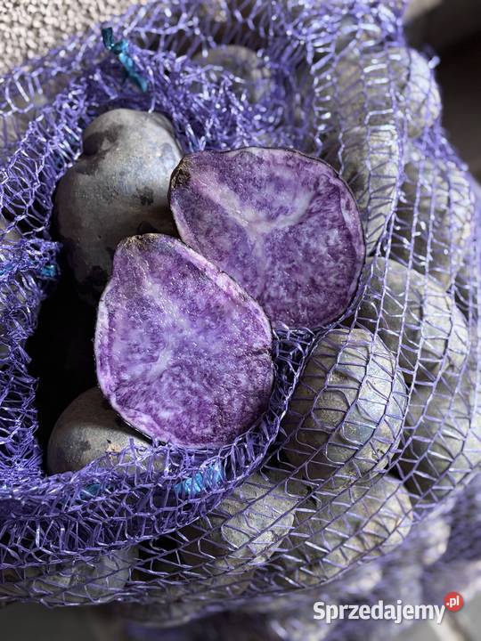 Sprzedam ziemniaki odmiana Bellarosa Baltic Rose Pozostałe