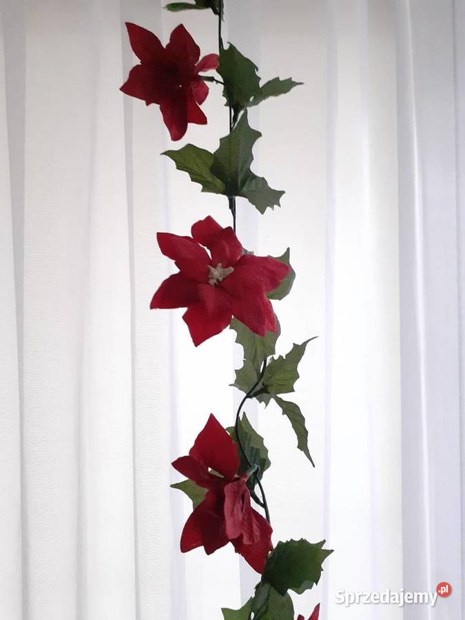 gwiazda betlejemska girlanda do powieszenia pomorskie Gdańsk