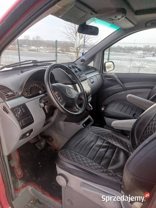 Mercedes Viano Piekary