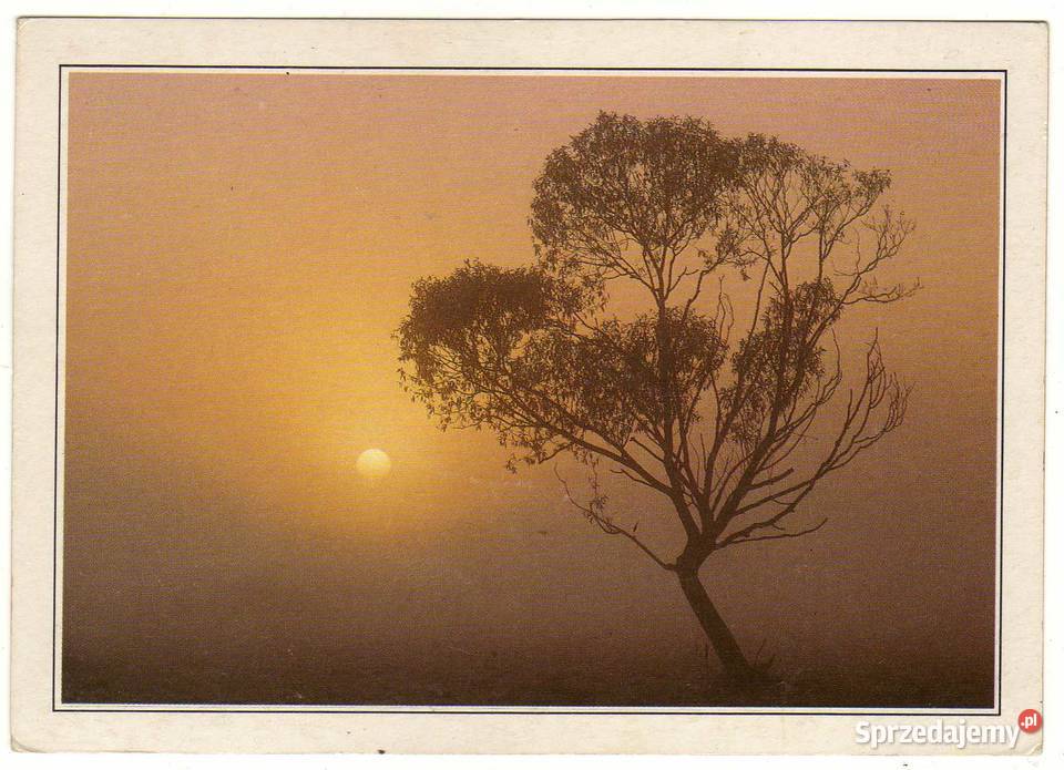 WSCHÓD SŁOŃCA POCZTÓWKA Krynki sprzedam