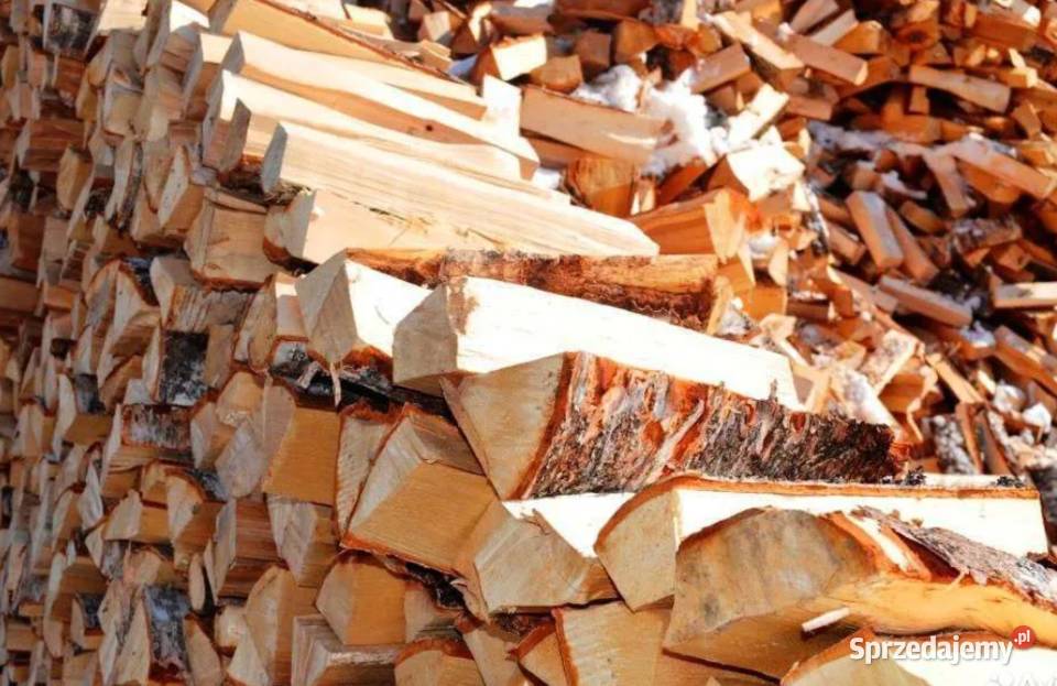 Różne rodzaje drewna opałowegokominkowego Rybno