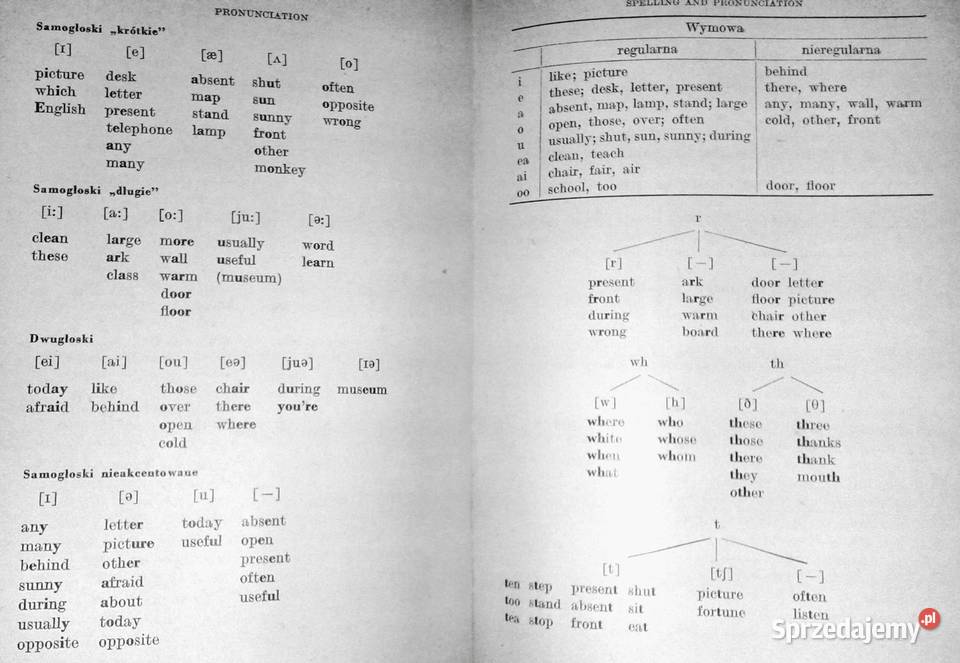 English for polish students Alfred Reszkiewicz Chełm