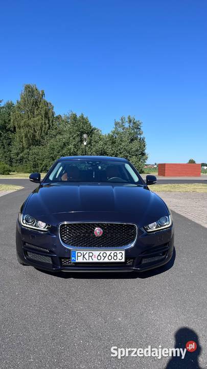 Jaguar XE wielkopolskie Krotoszyn