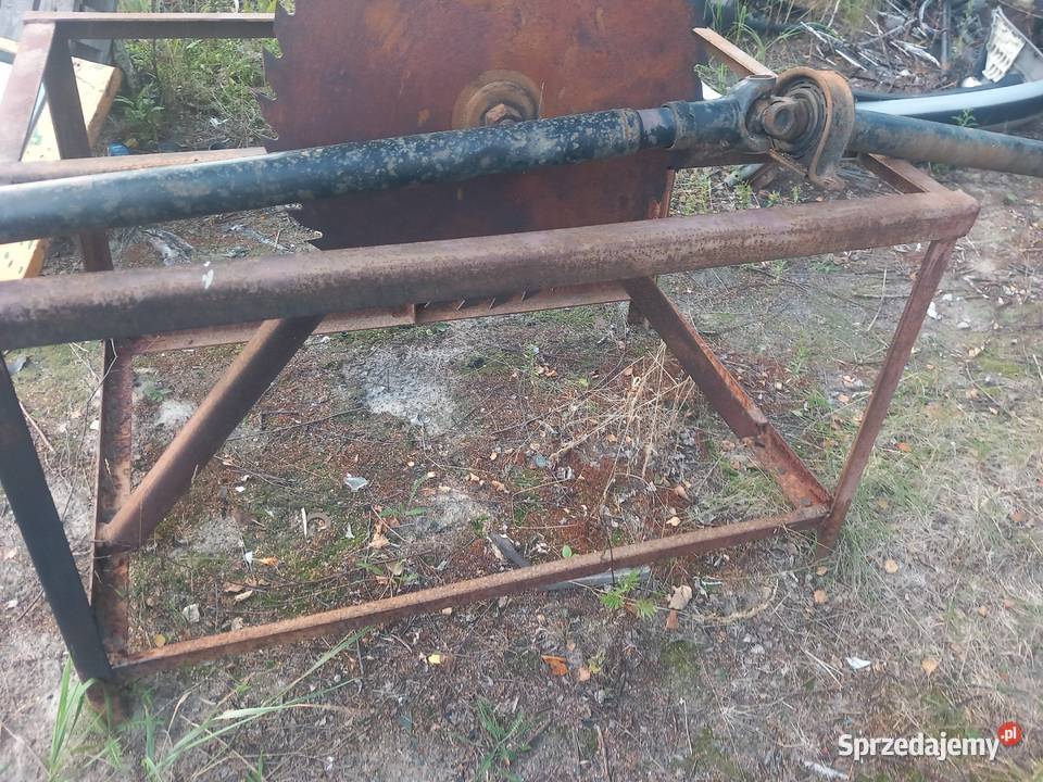 Traizega do drzewa Zakrzówek