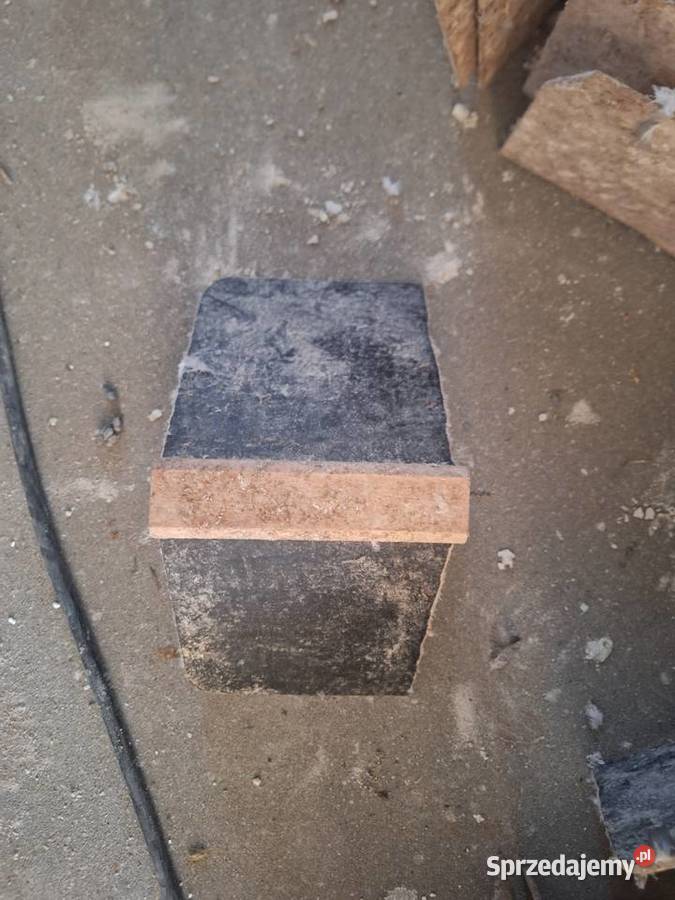 Sprzedam siodełka spoczynkowe gołębi Starogard Gdański