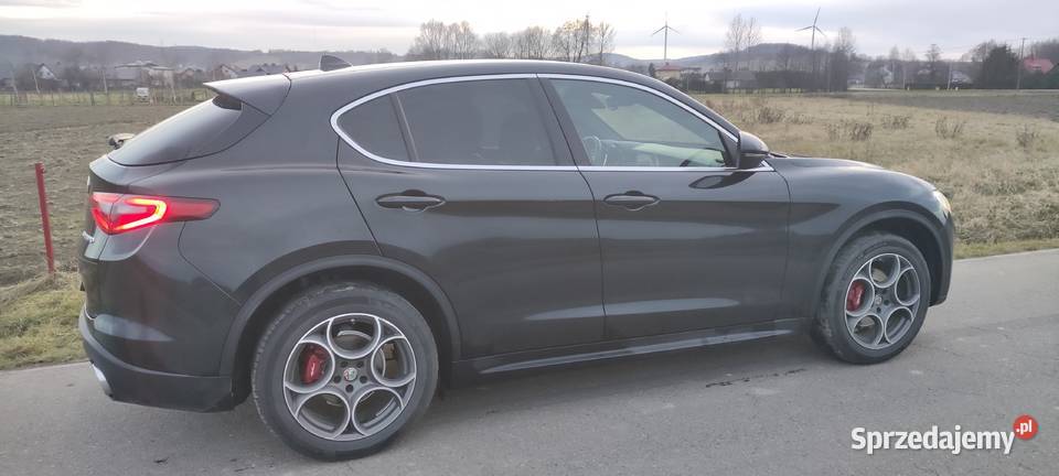Alfa Romeo Stelvio Wróblik Szlachecki