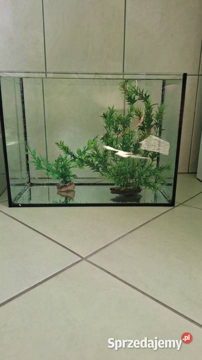 Akwarium proste 40x25x30 30 litrów Akwarystyka Brochów