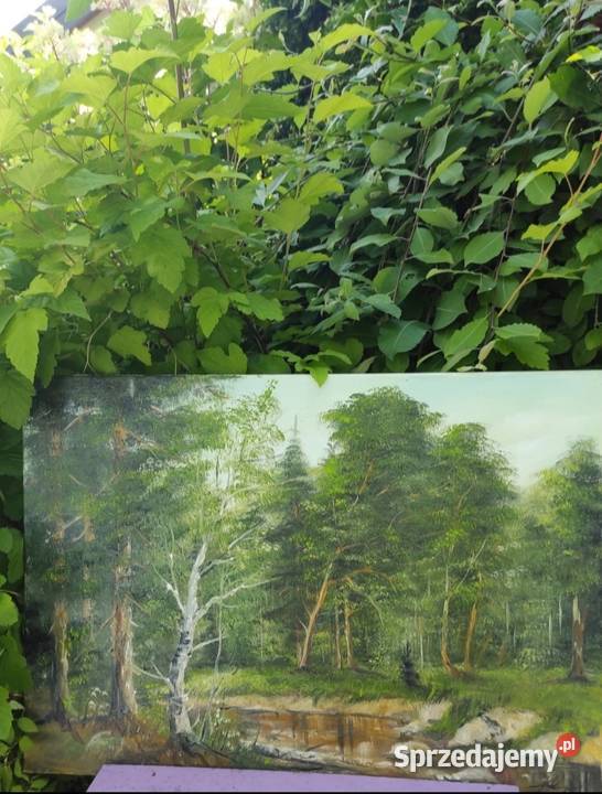 PEJZAŻ LEŚNY OLEJ NA PŁÓTNIE 70 x 50
