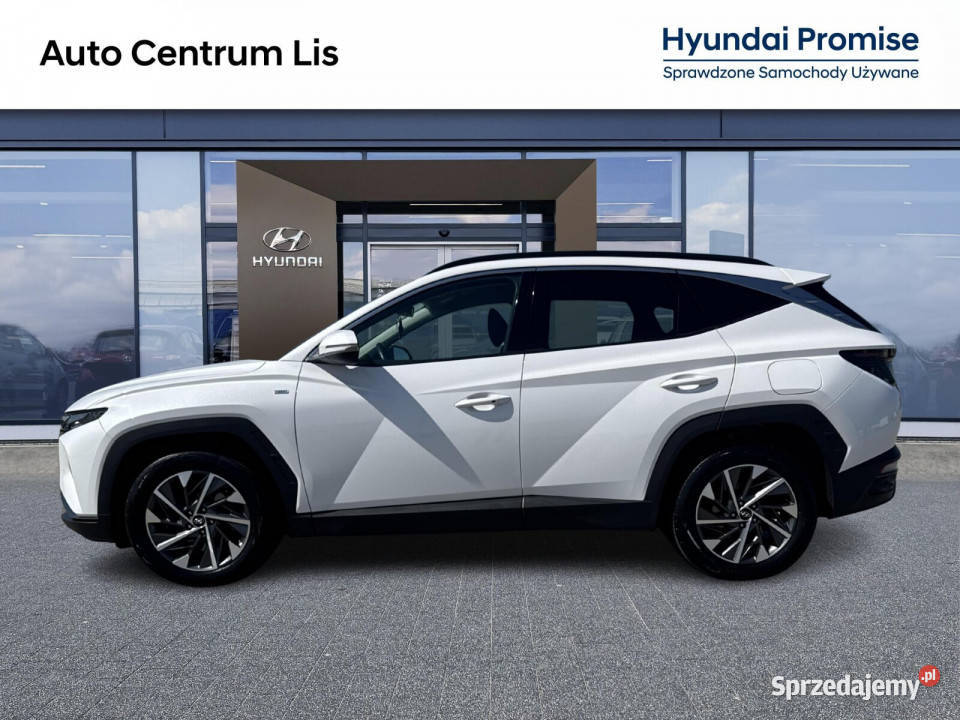 Salon Polska Autoryzowany dealer Executive Tucson sprzedam