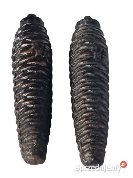 Szyszki ciężarki zegarowe 2 Rzeszów sprzedam