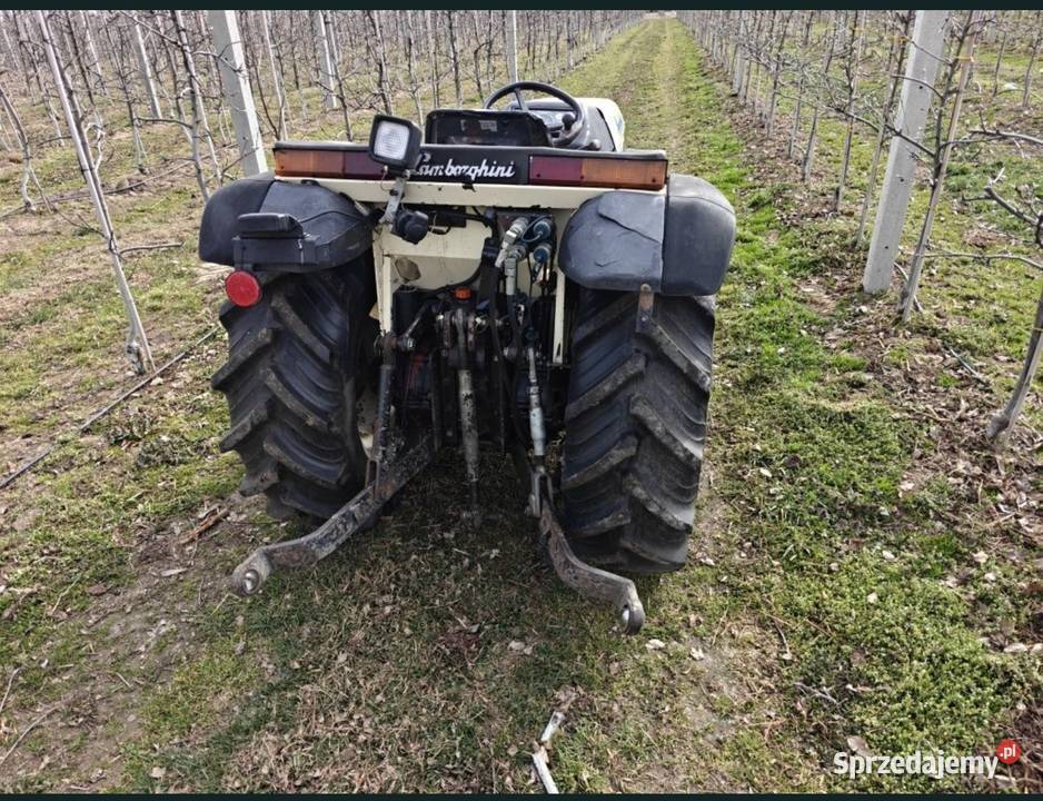 Lamborghini runner 35 sprzedam