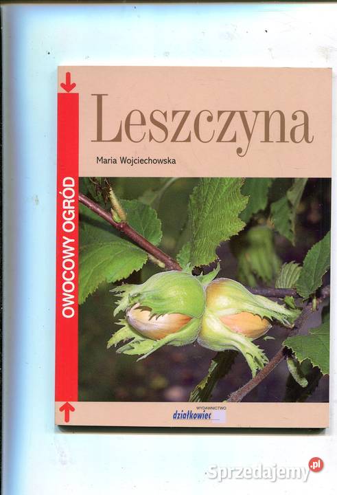 Leszczyna Maria Wojciechowska Szczecin