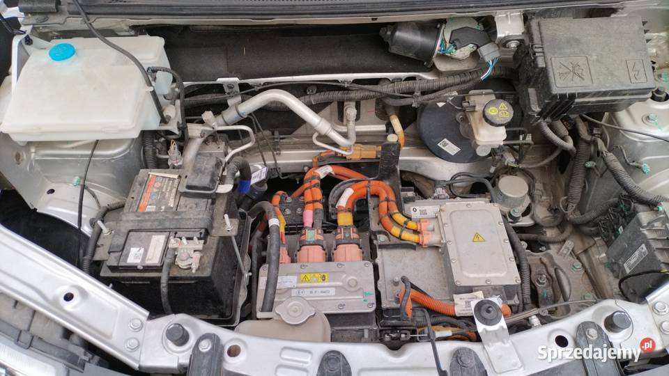 Dacia Spring Bussines Jedlicze B