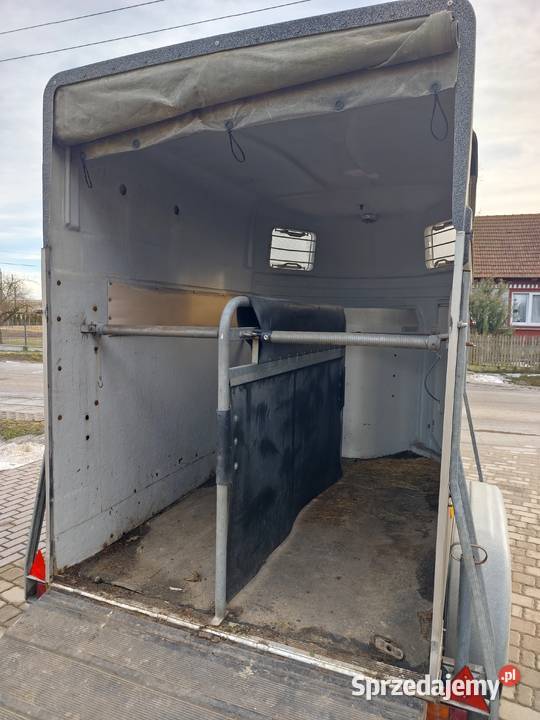 Przyczepa BOCKMANN Możliwy Transport Na 2 KONIE Wodzisław