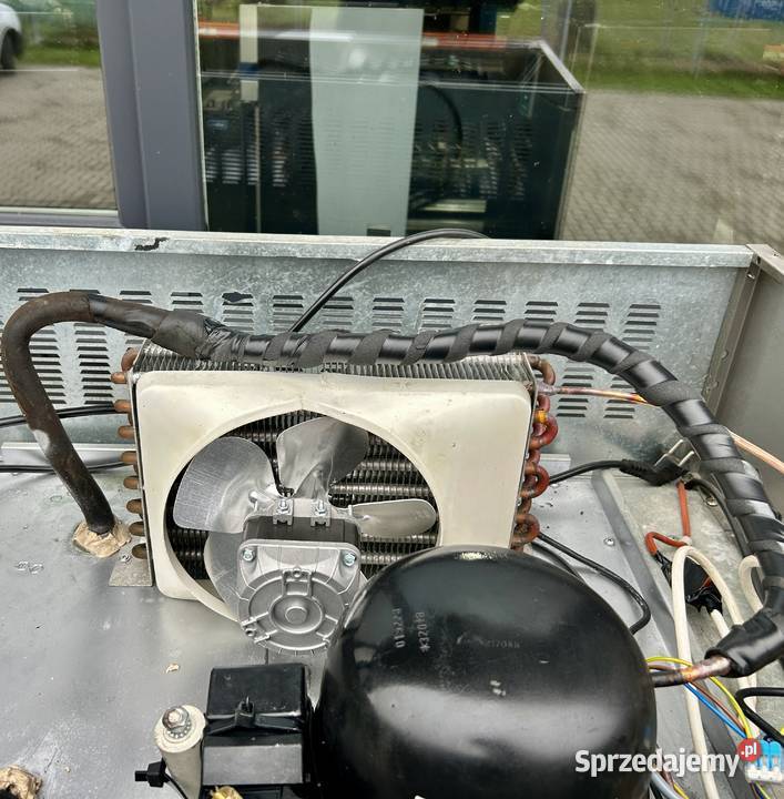 SZAFA CHŁODNICZA ELECTROLUX 700L LODÓWKA Krępsko