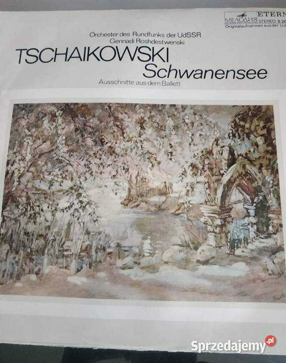 Czajkowski winyl Jarosław