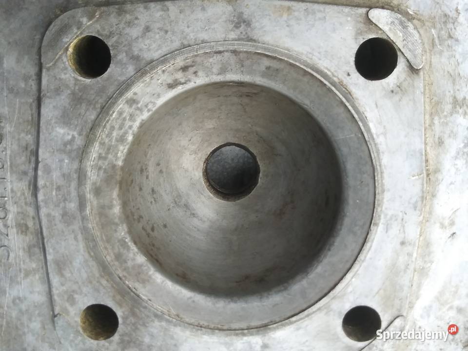 Głowica dzik 2 21 Skwierzyna