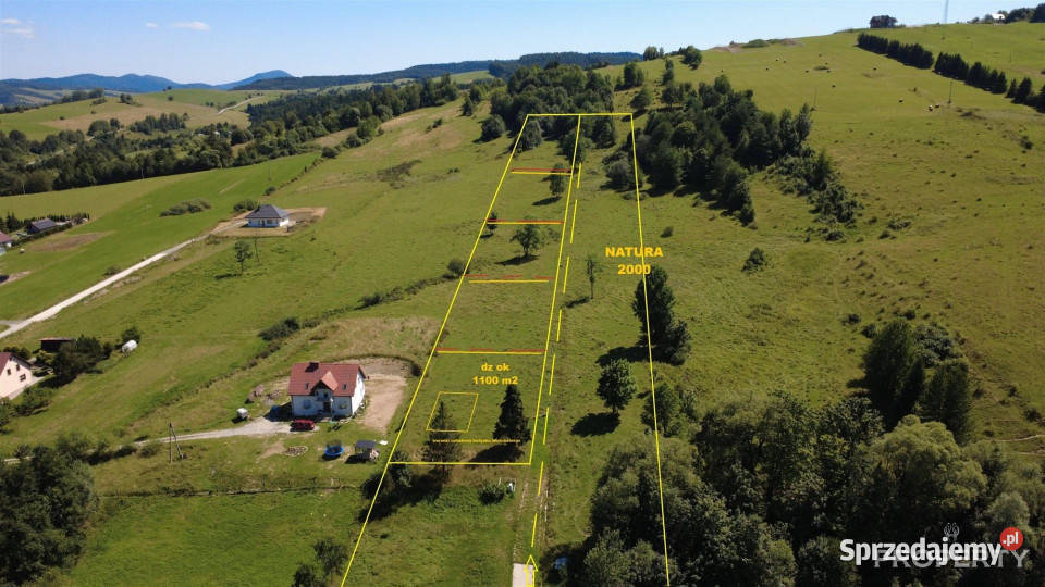 sprzedaży gruntu Berest 4900m2 małopolskie