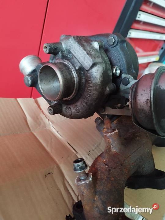 Głowica 19 TDI pd turbo kolektor EGR Szczecin