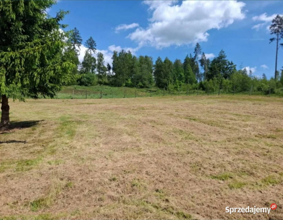 WIELORODZINNA działka Kudowa Zdrój pod 3200m2 dolnośląskie Kudowa-Zdrój