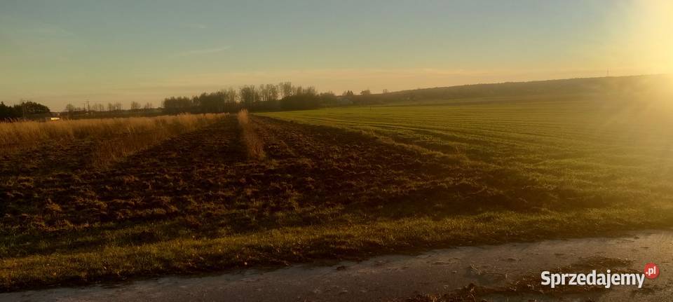 MPZP Niwki ladna drodze asfaltowej 46m Sprzedaż mazowieckie Zwoleń