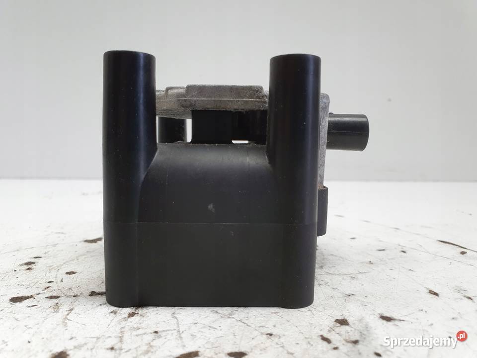 CEWKA ZAPŁONOWA VW Beetle 16 8V DELPHIGN10018 lubelskie Rudka