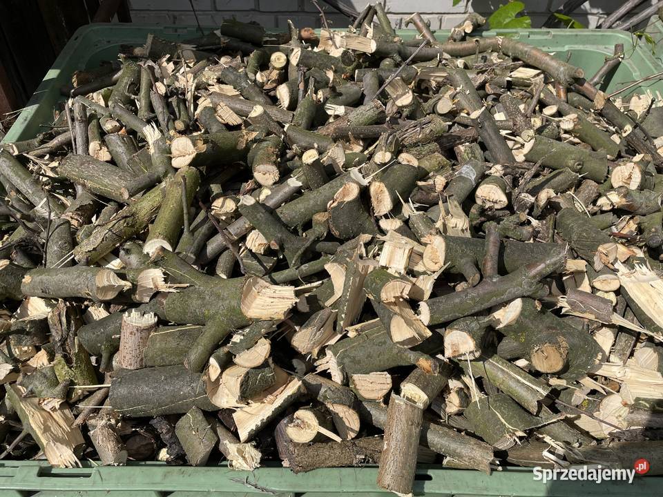 Zrębki opałowe jabłoniowe sprzedam Puławy