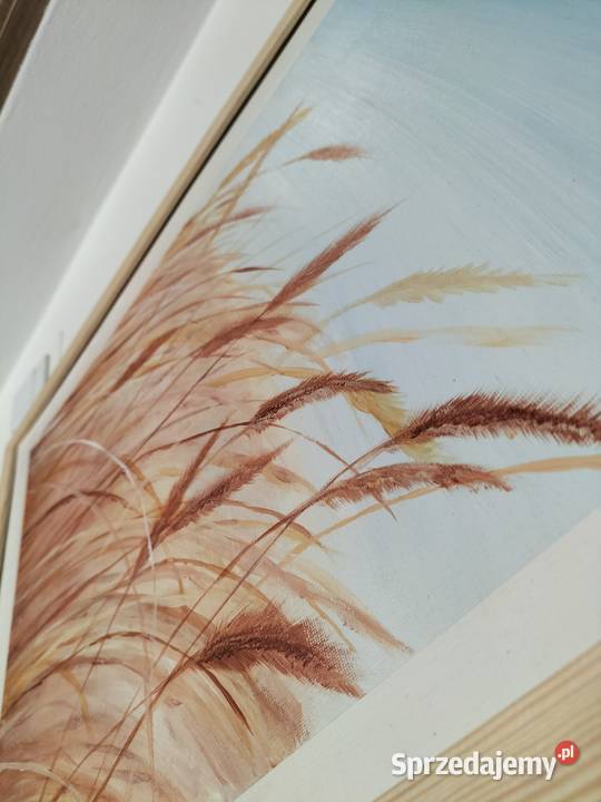 Zboża Malarstwo Lublin